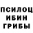 Псилоцибиновые грибы Magic Shrooms @Aleksejpesorin