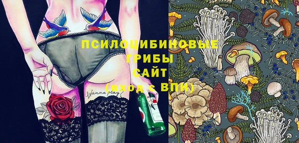 соль ск Абаза