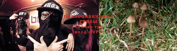 марихуана Абинск