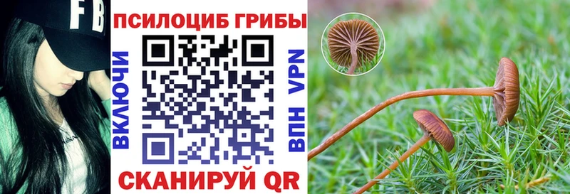 Псилоцибиновые грибы Psilocybe  darknet формула  Каменка  наркота  mega сайт 